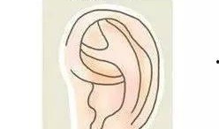 耳朵大有福在线观看,探寻福气之源的视听之旅